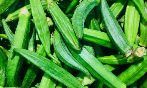 什么食物和洋葱相克不能吃-什么食物和洋葱相克网 - 为你提供洋葱和什么一起吃、洋葱和什么菜相克不能吃